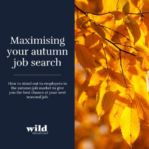 Read more... Maximising your autumn job search